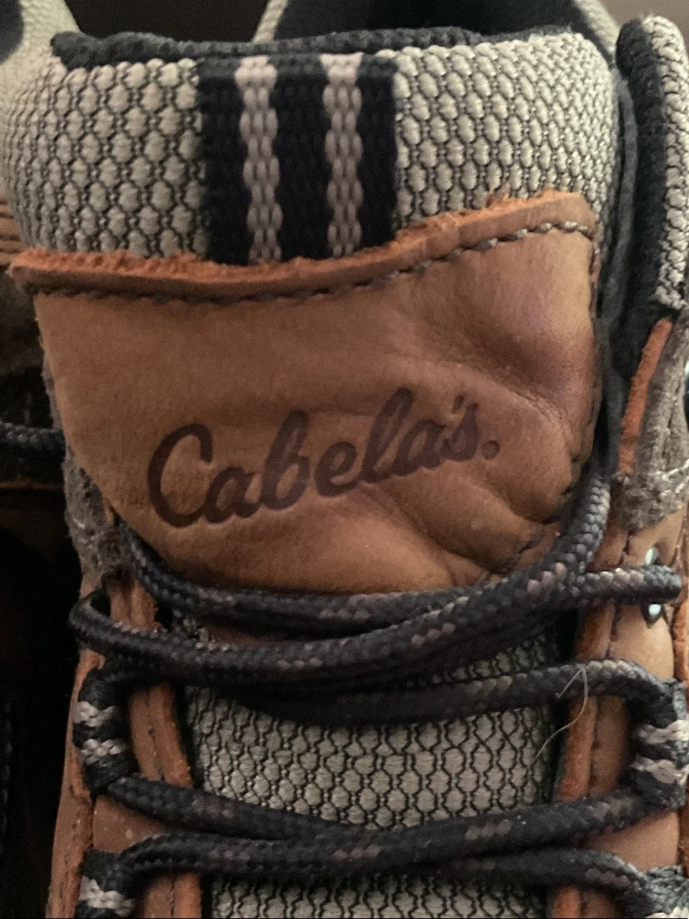 Cabelas 115 sturdy